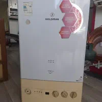 قاب پکیچ گلدیران