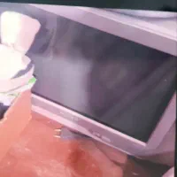 و جاروبرقی وتلوزیون معاوضه بامرغ وجوجه|جاروبرقی، جارو شارژی، بخارشو|زابل, |دیوار