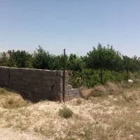 زمین باغی ویلایی و مناسب گلخانه|فروش زمین و ملک کلنگی|گلبهار, نوبهار|دیوار