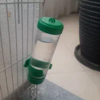 همستر و آبخوری همستر