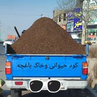 کود حیوانی