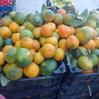 mioeiiii|خوردنی و آشامیدنی|فولادشهر, B7|دیوار