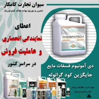 اعطای نمایندگی