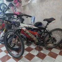 دو عدد دوچرخه