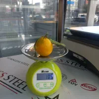 وزن کشی مواد آشپزخونه ترازو ۵ کیلو فانتزی ۱۹۵۰