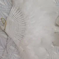 لباس عروس|لباس|رودهن, |دیوار