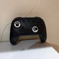 نینتندو سوییچ اولد نسخه اسپلاتون