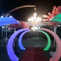 ورودی برای عروس و داماد...مناسب تالار های پذیرایی