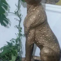 دوکور