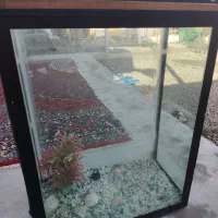 آکواریوم ماهی وآبزیان