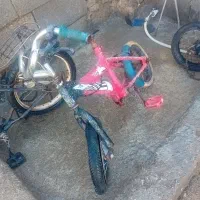 دوچرخه|دوچرخه، اسکیت، اسکوتر|شوشتر, |دیوار