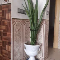 گلدان