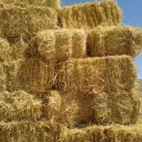 کاه بسته بندی