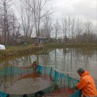 ماهی عمده شوشتر ، تنگ ، جام ،هفت سین ، پمپ اکسیژن