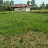زمین مسکونی در کنسستان امام رضا یک