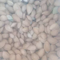 بادام|خوردنی و آشامیدنی|بوانات, |دیوار