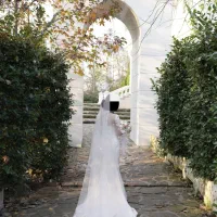 لباس عروس مدل ماهی