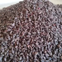 قرمیق یا زرشک سیاه