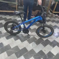 دوچرخه حرفه ای