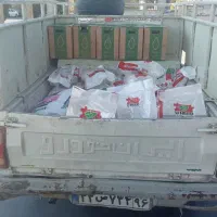 وانت بار آشوری شبانه روزی|خدمات حمل و نقل|شاهرود, |دیوار