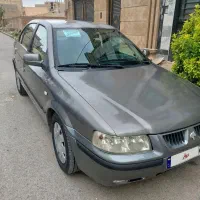 سمندخاکستری1381