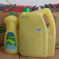 مواد شوینده ریکا|مواد شوینده و دستمال کاغذی|تهران, دکتر هوشیار|دیوار