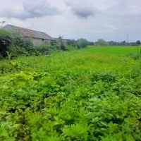 زمین ۲۰۰متری بدون واسطه نزدیک حسن رود منطقه ازاد