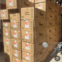 آبگرمکن بوتان مدل ۳۱۱۵دارای پمپ برنجی ومبدل مسی