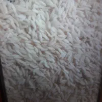 برنج هاشمی ارگانیک