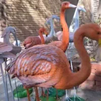 فلامینگو،|مجسمه، تندیس، ماکت|کرمان, |دیوار