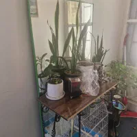 آینه|آینه|آبادان, |دیوار