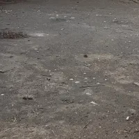 زمین-210متری-جنوبی-دونبش-جانبازان