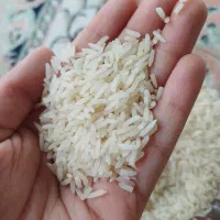 برنج صدری دم سیاه|خوردنی و آشامیدنی|رشت, پیرکلاچای|دیوار