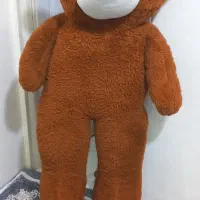 خرس اروسکی درحد نو