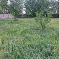 کسب-و-کار-شراکتی