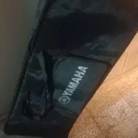 پایه ارگ