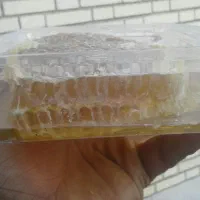 عسل درجه یک چهارمحال بختیاری