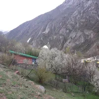 ۱۳۰ متر سند تک برگ شش دانگ