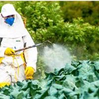 سمپاشی خانه وباغ+سموم ترکیبی زیرنظرمتخصص|خدمات باغبانی و درختکاری|چالوس, |دیوار