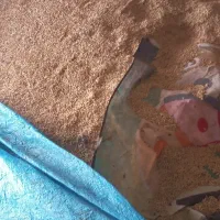 جو ایرانی تمیز