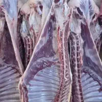 گوشت کهره و بره