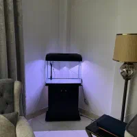 آکواریم دلسا