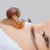 حلزون آچاتینا|آرایشی، بهداشتی، درمانی|تهران, تاکسیرانی|دیوار