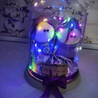 ولنتاین|کلکسیون و سرگرمی|میانه, |دیوار