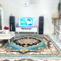 فرش فیروزه ای جفتی ۳۰