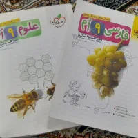 کتاب نهم