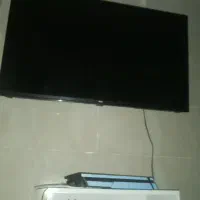 تلویزیون