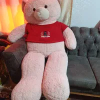 خرس بزرگ ۲ متری