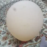 فروش سیم کارت