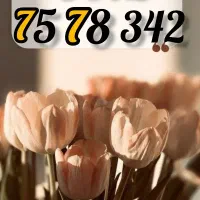 0912-75-78-342
